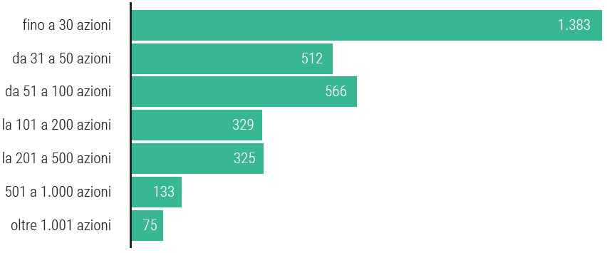 Grafico ripartizione soci per possesso azionario